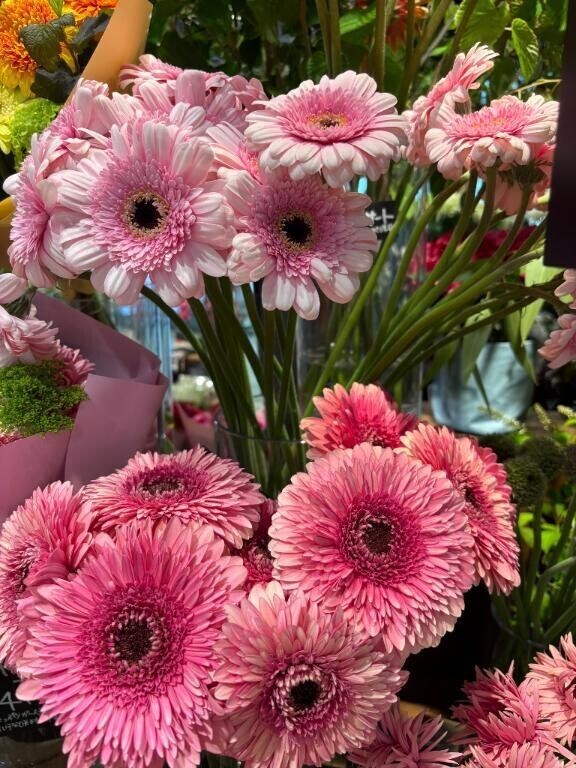 おはようございます