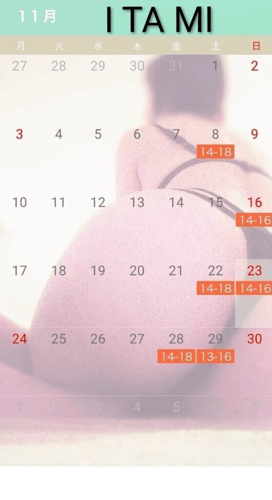 １１月の予定です