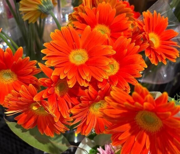 おはようございます