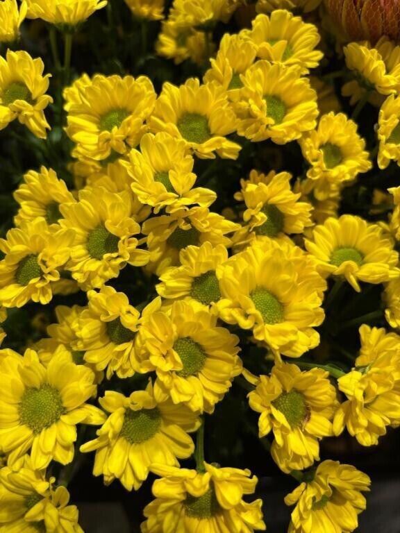 おはようございます