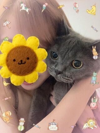 マロちゃむでも載せて浄化