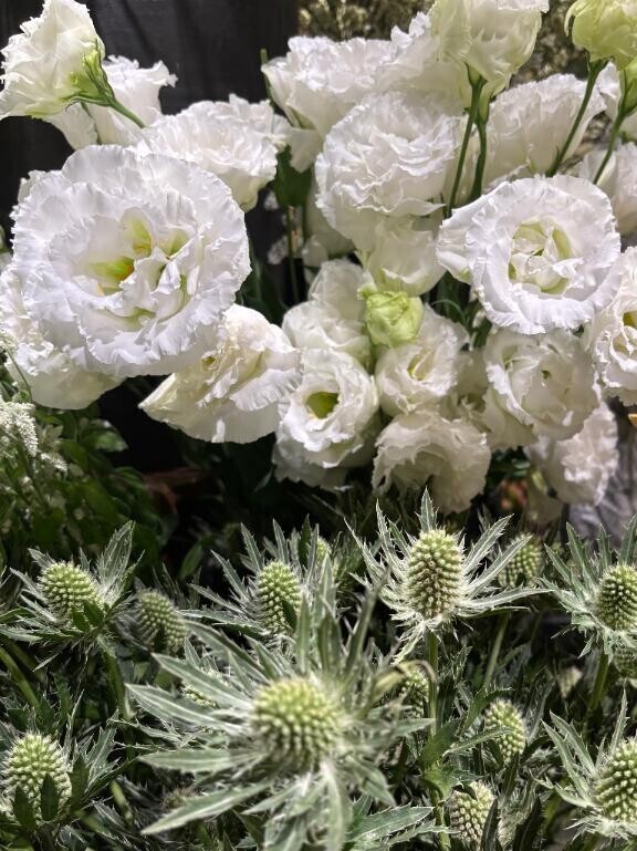 おはようございます