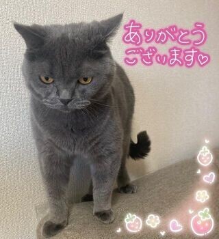 今日もありがとう