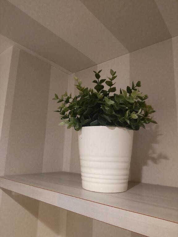 明日11/11、14:30〜出勤します〜緑を〜