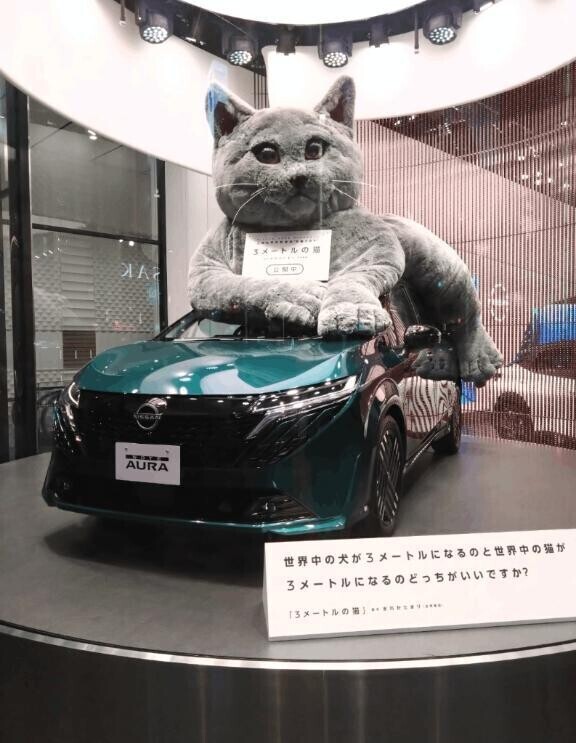 湯たんぽ開始です