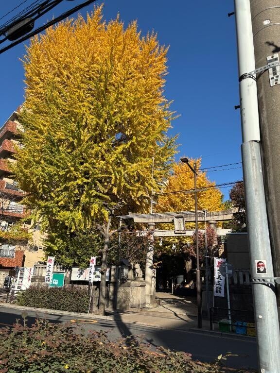 おはようございます