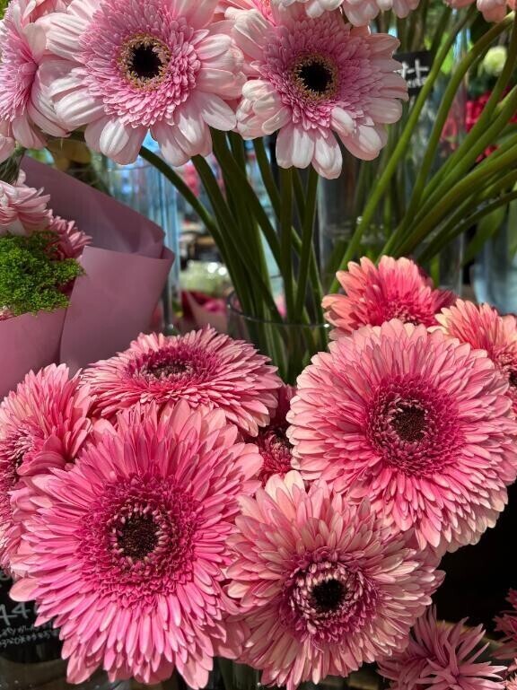 おはようございます