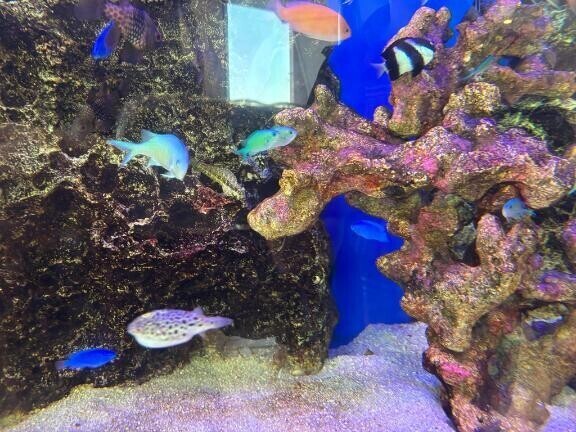 おはようございます