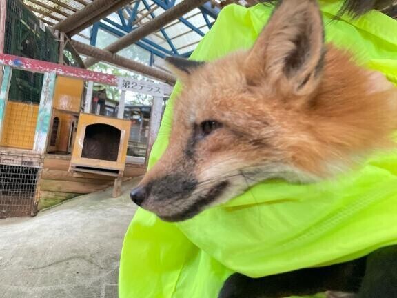 明日もあったかいんですって⊂((・x・))⊃