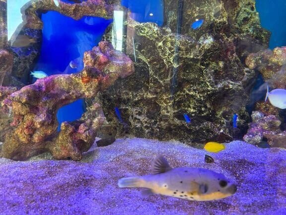 おはようございます