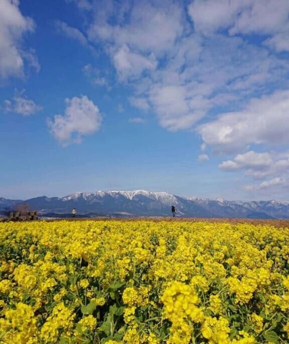 今日はうれしい再会