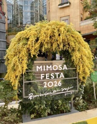 今日はありがとう