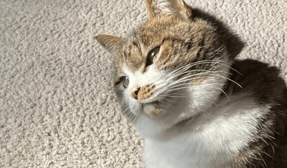 リチャードホール