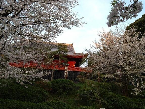 今日もありがとうございました