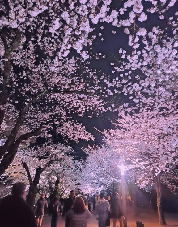 明日で出勤５日目です