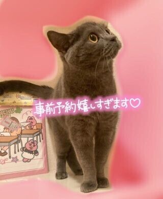 お礼ｱﾘｶﾞﾄｳo   o