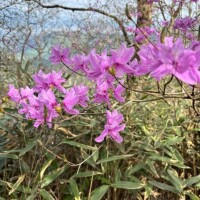 高宮