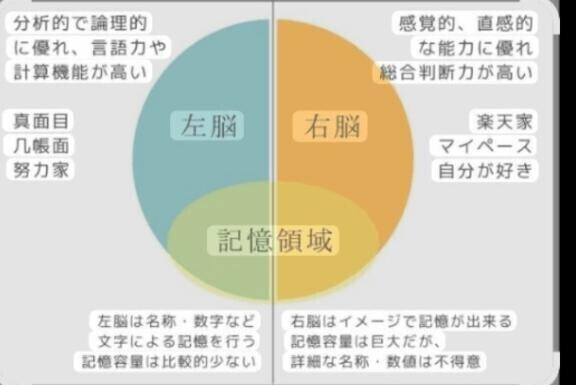 脳梁を鍛える