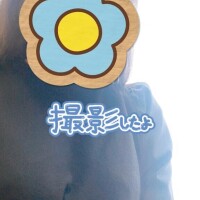 芹沢