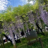 品川