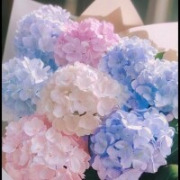 工藤　さき