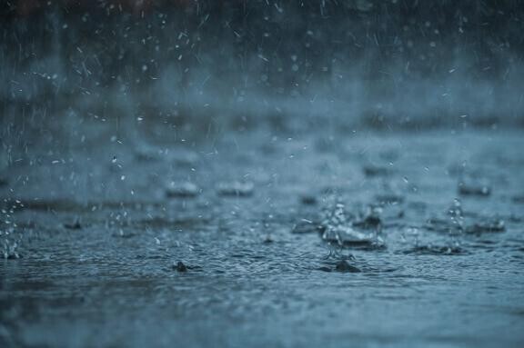 雨がすごいです🌧️