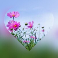 広末　明日香