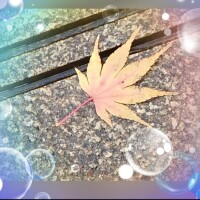 広末　明日香