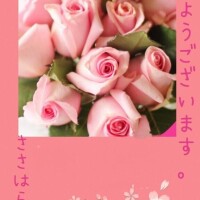 笹原　奈央