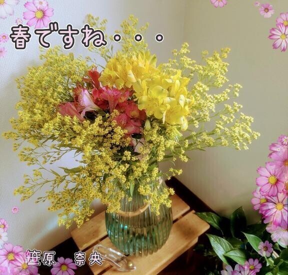 今日までかな？