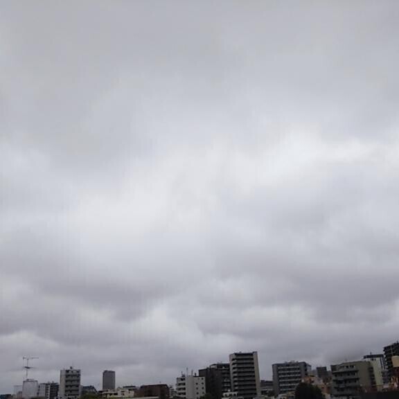 雨上がり🌂