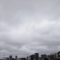 松浦　かえで