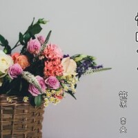 笹原　奈央