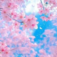 菅野　花江