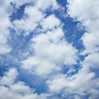菅野　花江