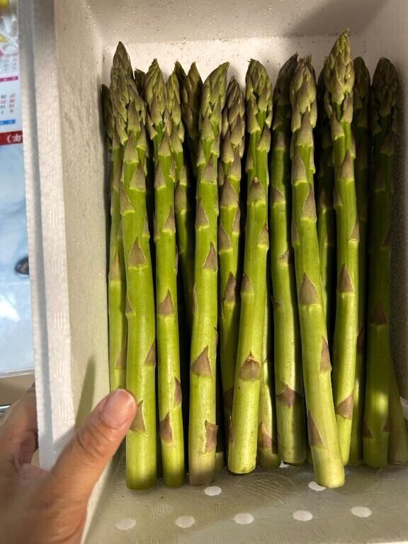 こんばんは