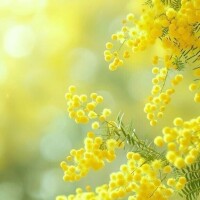 新山えみ