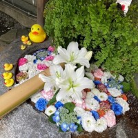 野々村　りえ