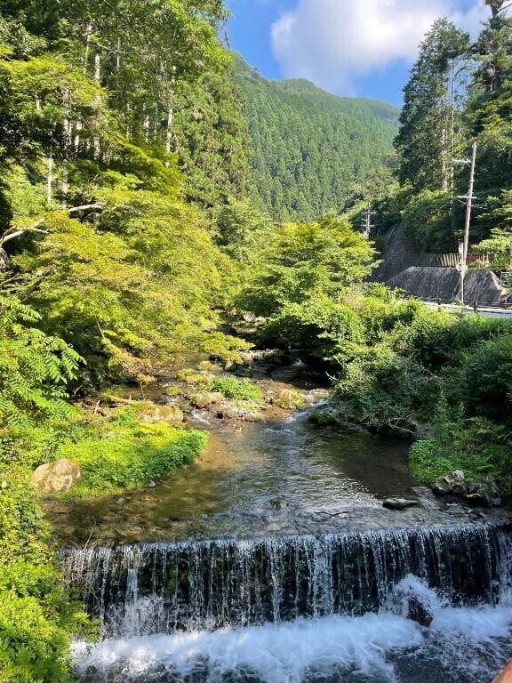 振り返り