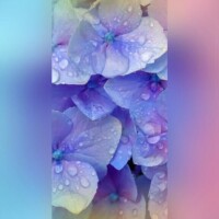 広末　明日香