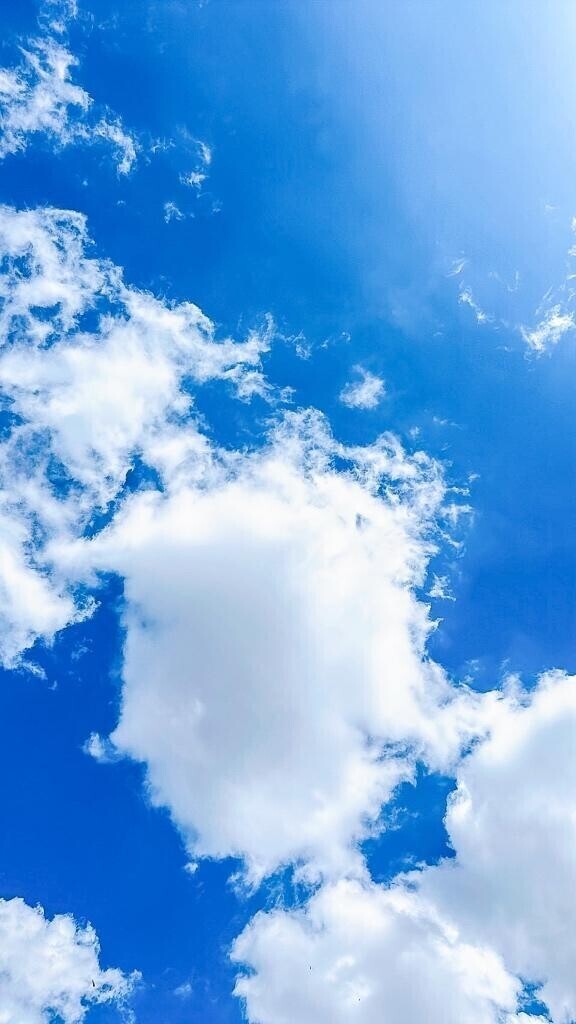 またまた欲張り。