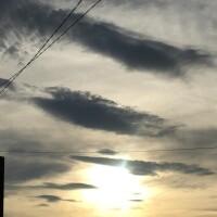 瀬名　麻衣子