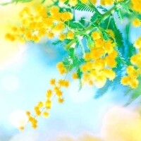 新山えみ