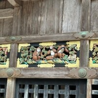 白井　なぎさ
