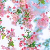 新山えみ