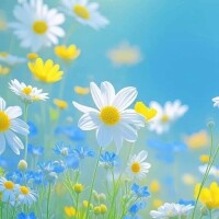 新山えみ