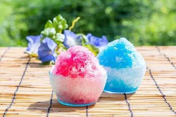 蒸し暑いです🥵