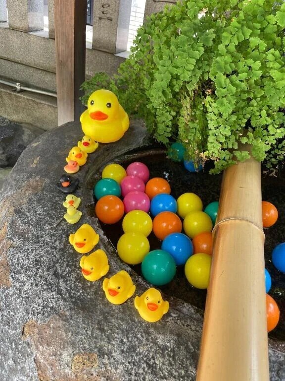 夏の