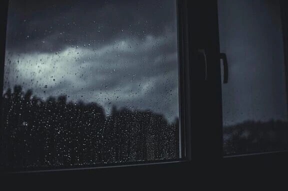 久しぶりの雨☔