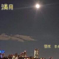 笹原　奈央